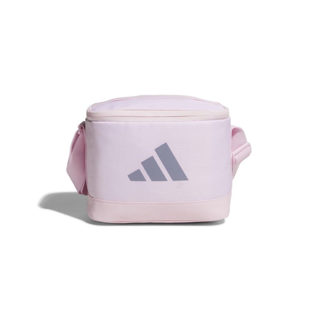 Cooler Bag